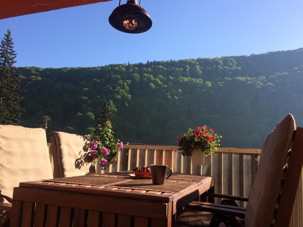 Apartament Miro Sinaia